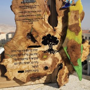 מגן הוקרה  א"י לקיר כ 30-40 סמ