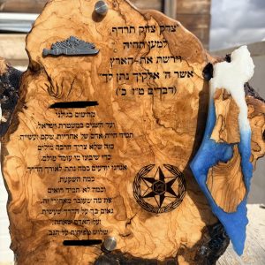 מגן הוקרה בהזמנה מיוחדת, בעיצוב לבקשת לקוח.לתליה
